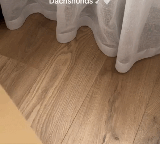 From Dachshund Mom to Cozy Queen: My Love Affair with These Adorable Slippers
