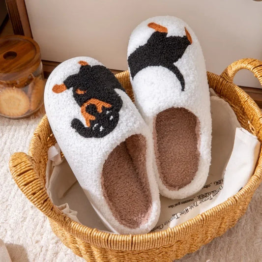 Dachshund Embroidered Slippers: Ultimate Warmth, Comfort & Non-Slip for Your Feet